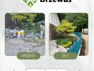 Zakładanie ogrodów i trawników z siewu oraz rolki - Trójmiasto