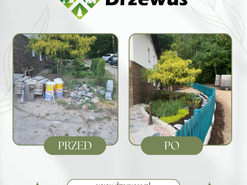 Zakładanie ogrodów i trawników z siewu oraz rolki - Trójmiasto