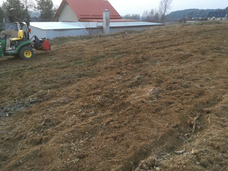 Zakładanie ogrodów i trawników z siewu oraz rolki - Trójmiasto