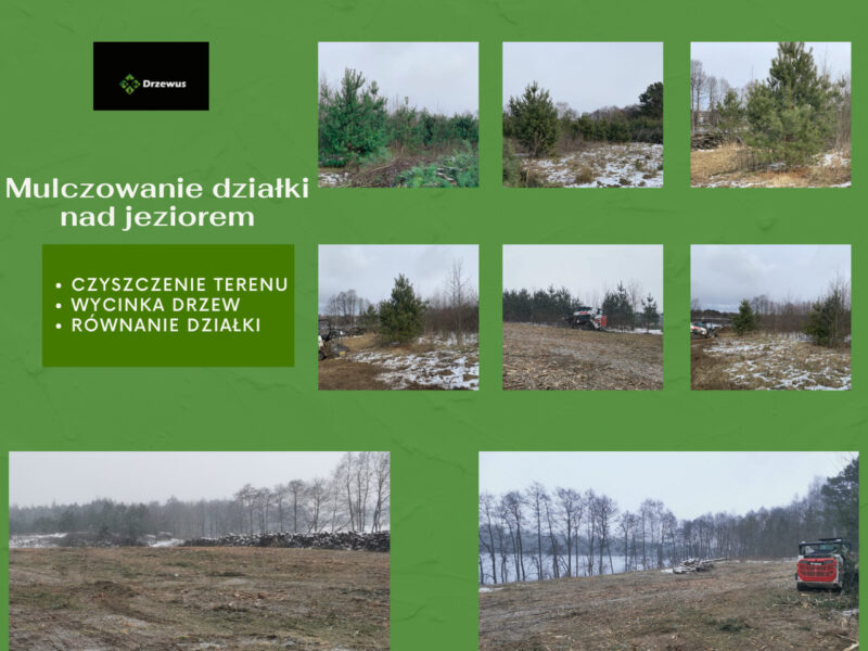 Zakładanie ogrodów i trawników z siewu oraz rolki - Trójmiasto
